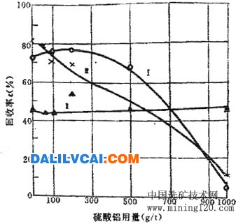 硫酸鋁對(duì)礦物浮選的影響