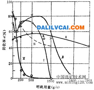 明礬對(duì)礦物浮選的影響