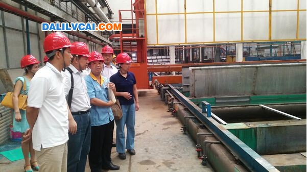 鋁型材表面無鉻化鈍化處理技術項目驗收現場