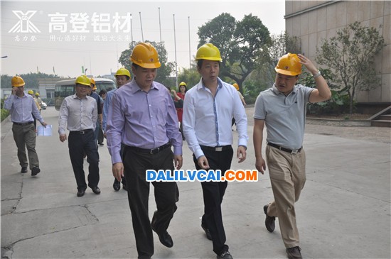 四會市市委書記袁鵬然調研高登鋁業