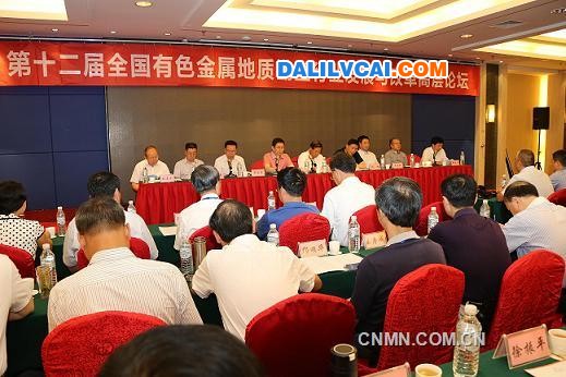 中國有色金屬勘查行業發展與改革論壇召開現場