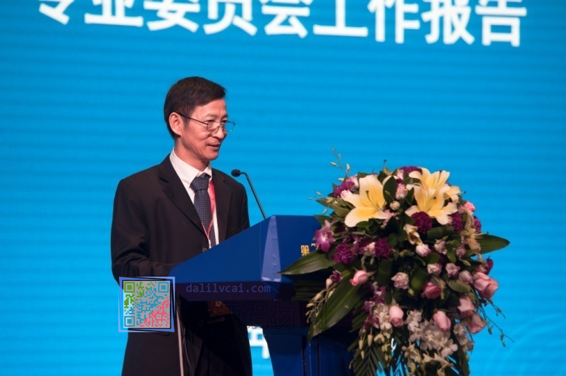 廣東省有色金屬學會鋁加工專業委員會主任委員盧繼延發言
