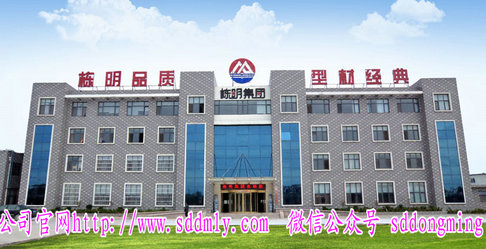 山東棟明鋁業辦公大樓