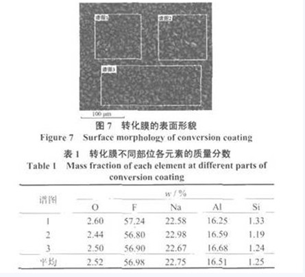 轉化膜的表面形貌