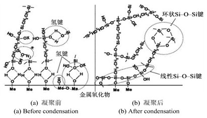 三維網狀結構的硅烷膜