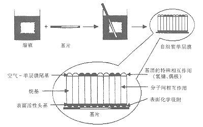 鋁材表面分子自組裝機理