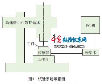 試驗系統示意圖